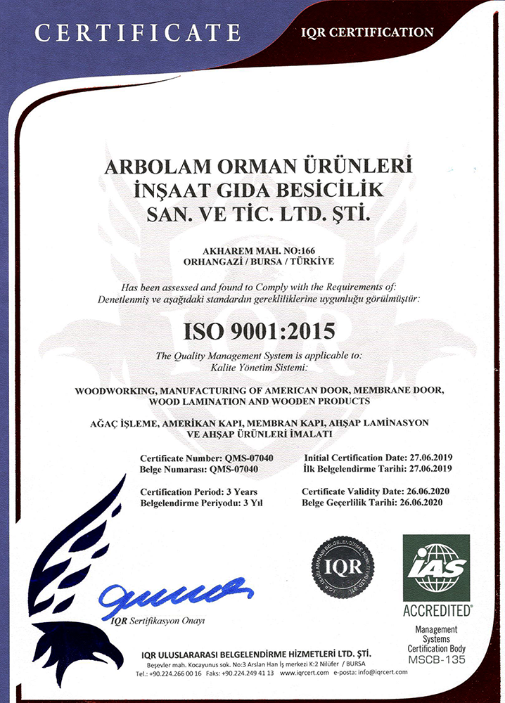 ISO 9001:2015 (2020)