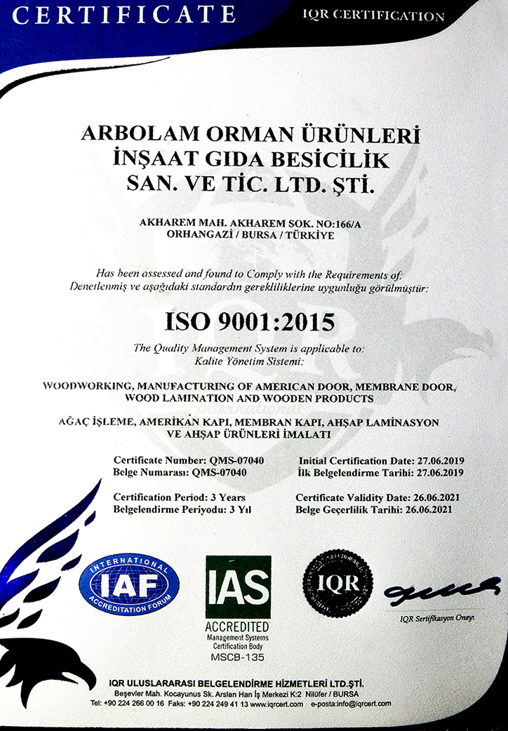 ISO 9001:2015 (2021)