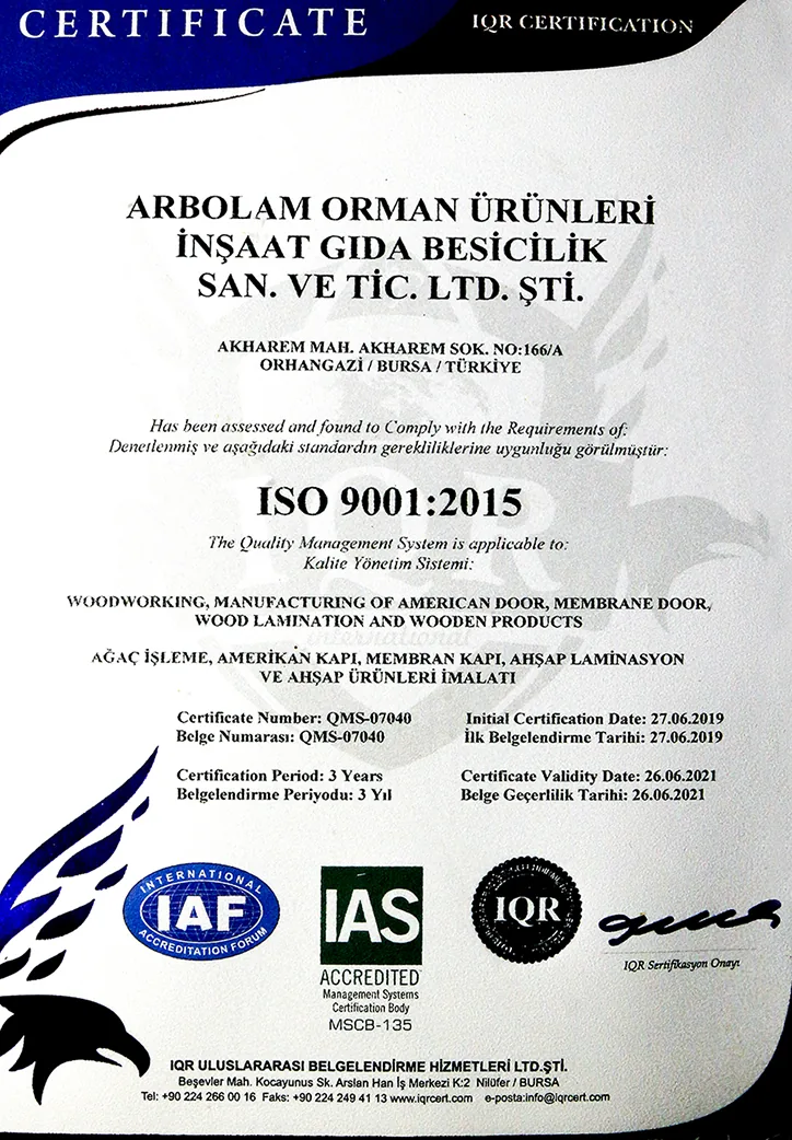 ISO 9001:2015 (2021)